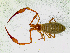  ( - BGE_00508_H11)  @11 [ ] Copyright (2025) Unspecified Croatian Biospeleological Society