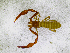  ( - BGE_00507_A01)  @11 [ ] Copyright (2024) Unspecified Croatian Biospeleological Society
