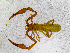  ( - BGE_00507_A02)  @11 [ ] Copyright (2024) Unspecified Croatian Biospeleological Society
