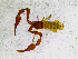  ( - BGE_00507_A03)  @11 [ ] Copyright (2024) Unspecified Croatian Biospeleological Society