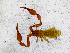  ( - BGE_00507_A03)  @11 [ ] Copyright (2024) Unspecified Croatian Biospeleological Society