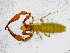  ( - BGE_00507_A06)  @11 [ ] Copyright (2024) Unspecified Croatian Biospeleological Society