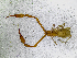  ( - BGE_00507_C05)  @11 [ ] Copyright (2024) Unspecified Croatian Biospeleological Society