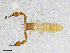 ( - BGE_00507_B05)  @11 [ ] Copyright (2024) Unspecified Croatian Biospeleological Society
