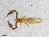  ( - BGE_00507_B06)  @11 [ ] Copyright (2024) Unspecified Croatian Biospeleological Society