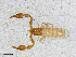  ( - BGE_00507_B07)  @11 [ ] Copyright (2024) Unspecified Croatian Biospeleological Society