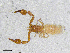  ( - BGE_00507_B07)  @11 [ ] Copyright (2024) Unspecified Croatian Biospeleological Society