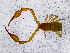  ( - BGE_00507_D06)  @11 [ ] Copyright (2024) Unspecified Croatian Biospeleological Society