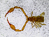  ( - BGE_00507_D06)  @11 [ ] Copyright (2024) Unspecified Croatian Biospeleological Society