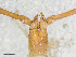  ( - BGE_00507_E02)  @11 [ ] Copyright (2024) Unspecified Croatian Biospeleological Society