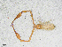  ( - BGE_00507_E02)  @11 [ ] Copyright (2024) Unspecified Croatian Biospeleological Society