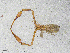  ( - BGE_00507_E02)  @11 [ ] Copyright (2024) Unspecified Croatian Biospeleological Society