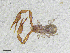  ( - BGE_00507_E04)  @11 [ ] Copyright (2024) Unspecified Croatian Biospeleological Society