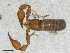  ( - BGE_00507_E05)  @11 [ ] Copyright (2024) Unspecified Croatian Biospeleological Society