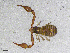  ( - BGE_00507_H08)  @11 [ ] Copyright (2024) Unspecified Croatian Biospeleological Society