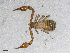  ( - BGE_00507_H08)  @11 [ ] Copyright (2024) Unspecified Croatian Biospeleological Society