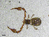  ( - BGE_00507_E08)  @11 [ ] Copyright (2024) Unspecified Croatian Biospeleological Society