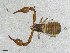  ( - BGE_00507_E09)  @11 [ ] Copyright (2024) Unspecified Croatian Biospeleological Society