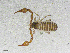  ( - BGE_00507_E10)  @11 [ ] Copyright (2024) Unspecified Croatian Biospeleological Society