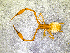  ( - BGE_00507_F01)  @11 [ ] Copyright (2024) Unspecified Croatian Biospeleological Society