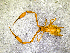  ( - BGE_00507_F01)  @11 [ ] Copyright (2024) Unspecified Croatian Biospeleological Society