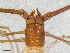  ( - BGE_00507_F05)  @11 [ ] Copyright (2024) Unspecified Croatian Biospeleological Society