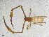  ( - BGE_00507_F05)  @11 [ ] Copyright (2024) Unspecified Croatian Biospeleological Society
