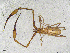  ( - BGE_00507_F05)  @11 [ ] Copyright (2024) Unspecified Croatian Biospeleological Society