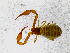  ( - BGE_00507_F07)  @11 [ ] Copyright (2024) Unspecified Croatian Biospeleological Society