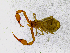  ( - BGE_00507_F07)  @11 [ ] Copyright (2024) Unspecified Croatian Biospeleological Society