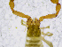  ( - BGE_00507_G01)  @11 [ ] Copyright (2024) Unspecified Croatian Biospeleological Society