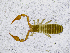  ( - BGE_00507_G01)  @11 [ ] Copyright (2024) Unspecified Croatian Biospeleological Society