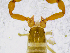  ( - BGE_00507_G02)  @11 [ ] Copyright (2024) Unspecified Croatian Biospeleological Society