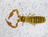  ( - BGE_00507_G02)  @11 [ ] Copyright (2024) Unspecified Croatian Biospeleological Society