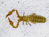  ( - BGE_00507_G02)  @11 [ ] Copyright (2024) Unspecified Croatian Biospeleological Society
