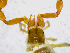  ( - BGE_00507_G03)  @11 [ ] Copyright (2024) Unspecified Croatian Biospeleological Society