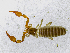 ( - BGE_00507_G03)  @11 [ ] Copyright (2024) Unspecified Croatian Biospeleological Society