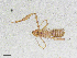  ( - BGE_00507_G04)  @11 [ ] Copyright (2024) Unspecified Croatian Biospeleological Society