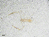  ( - BGE_00507_G11)  @11 [ ] Copyright (2024) Unspecified Croatian Biospeleological Society