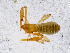  ( - BGE_00507_H01)  @11 [ ] Copyright (2024) Unspecified Croatian Biospeleological Society