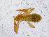  ( - BGE_00507_H01)  @11 [ ] Copyright (2024) Unspecified Croatian Biospeleological Society