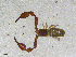  ( - BGE_00507_H02)  @11 [ ] Copyright (2024) Unspecified Croatian Biospeleological Society