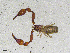  ( - BGE_00507_H02)  @11 [ ] Copyright (2024) Unspecified Croatian Biospeleological Society
