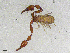  ( - BGE_00507_H03)  @11 [ ] Copyright (2024) Unspecified Croatian Biospeleological Society