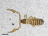  ( - BGE_00507_H05)  @11 [ ] Copyright (2024) Unspecified Croatian Biospeleological Society