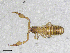  ( - BGE_00507_H05)  @11 [ ] Copyright (2024) Unspecified Croatian Biospeleological Society