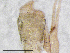  ( - BGE_00507_H06)  @11 [ ] Copyright (2024) Unspecified Croatian Biospeleological Society