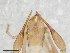  ( - BGE_00507_H07)  @11 [ ] Copyright (2024) Unspecified Croatian Biospeleological Society