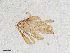  ( - BGE_00507_H07)  @11 [ ] Copyright (2024) Unspecified Croatian Biospeleological Society