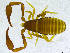  ( - BGE_00501_A03)  @11 [ ] Copyright (2024) Unspecified Croatian Biospeleological Society